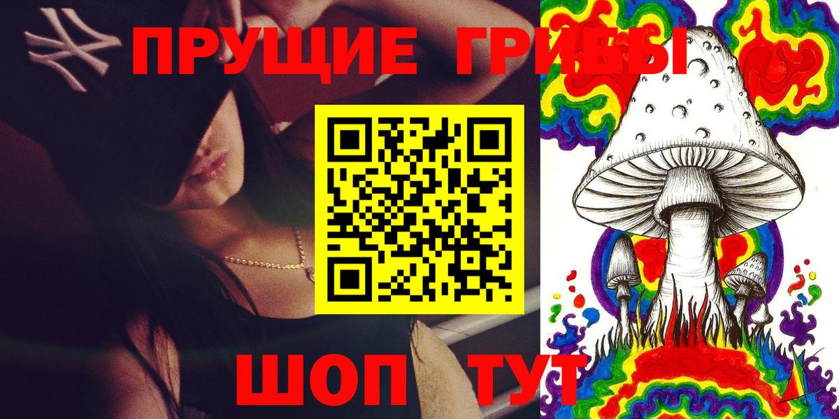 купить  цена  Псилоцибиновые грибы Psilocybine cubensis  Вход с VPN  Брянск 